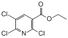 ethyl 2,5,6-trichloronicotinate