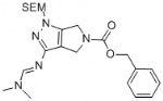 (E)-benzyl 3-(((dimethylamino)methylene)amino)-1-mesityl-4,6-dihydropyrrolo[3,4-c]pyrazole-5(1H)-carboxylate