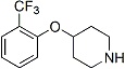 4-(2-Trifluoromethyl-phenoxy)-piperidine