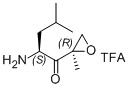 (S)-2-amino-4-methyl-1-((R)-2-methyloxiran-2-yl)pentan-1-one trifuoro acid salt