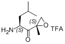 (S)-2-amino-4-methyl-1-((S)-2-methyloxiran-2-yl)pentan-1-one trifluoro acid salt