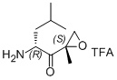 (R)-2-amino-4-methyl-1-((S)-2-methyloxiran-2-yl)pentan-1-one trifluoro acid salt